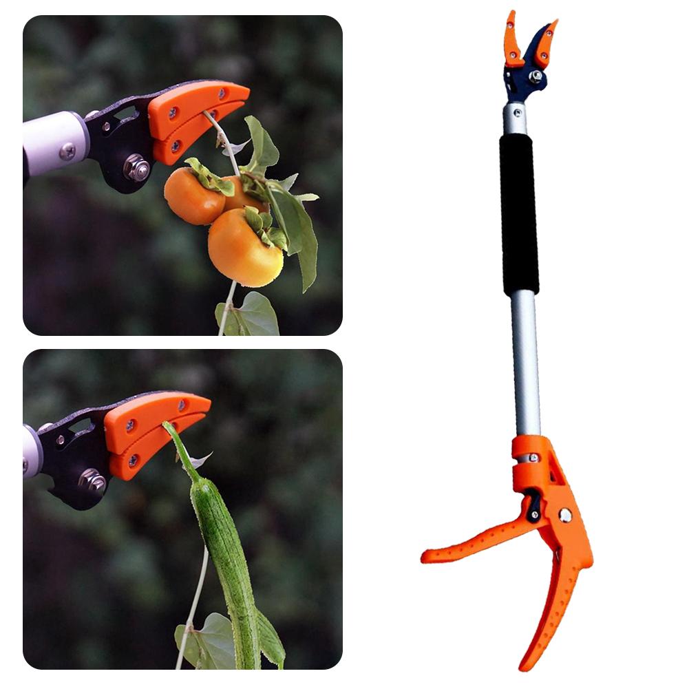 Long Shearing Tool