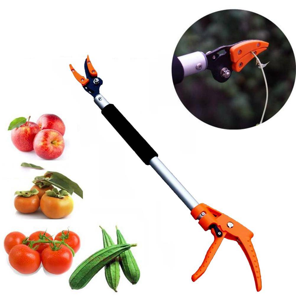 Long Shearing Tool