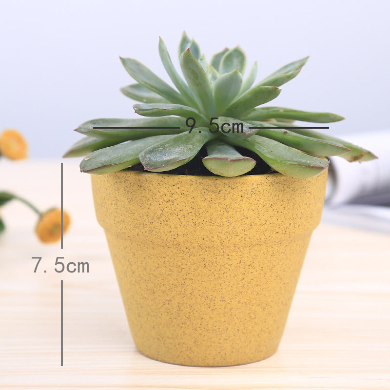 Macaron Series Flowerpot