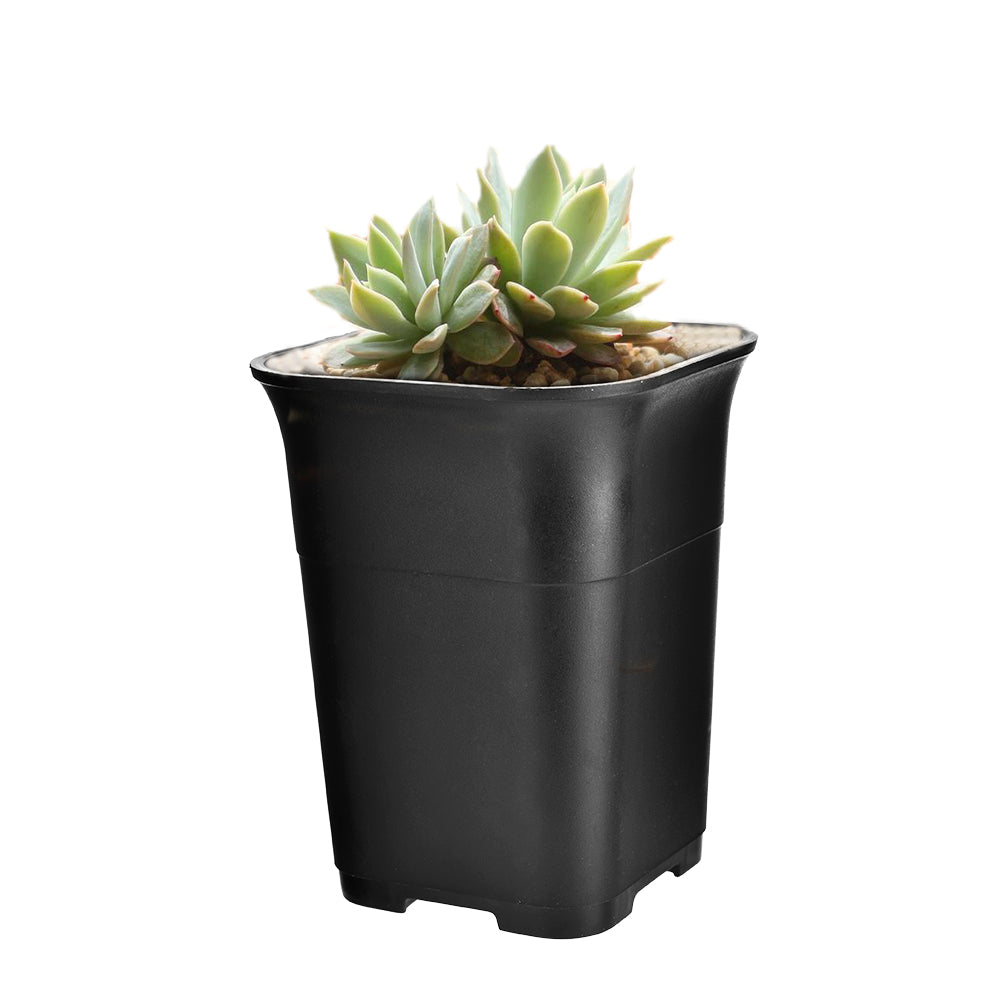 Square Plastic Flowerpot