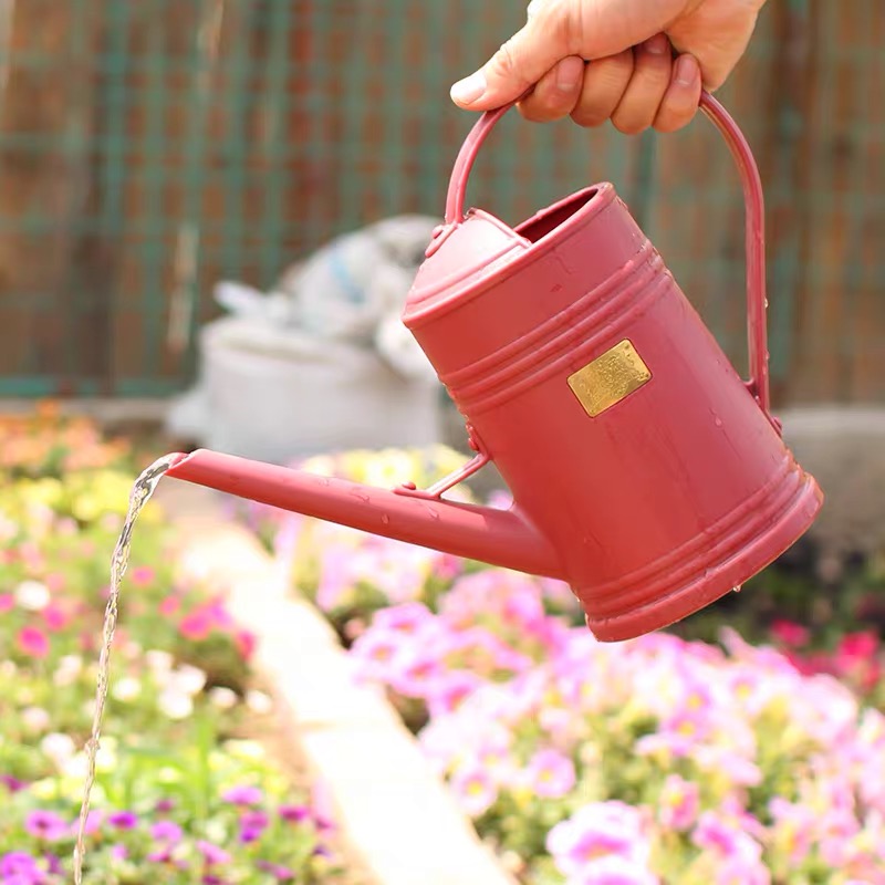 Watering Can Retro Shower Pot Balcony Gardening